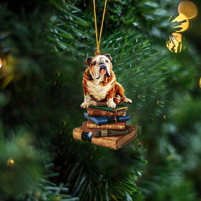 Bull-Sit On The Book Two Sides Christmas Plastic Hanging Ornament, Happy Christmas Ornament, Christmas Gift, Christmas Decoration
