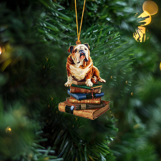 Bull-Sit On The Book Two Sides Christmas Plastic Hanging Ornament, Happy Christmas Ornament, Christmas Gift, Christmas Decoration