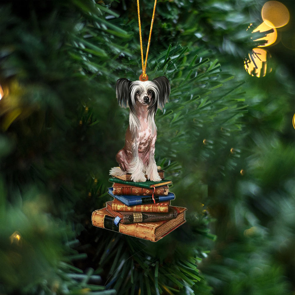 Chinese Crested-Sit On The Book Two Sides Christmas Plastic Hanging Ornament, Christmas Gift, Christmas Decoration