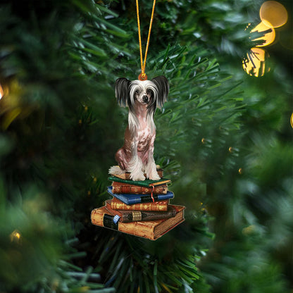 Chinese Crested-Sit On The Book Two Sides Christmas Plastic Hanging Ornament, Christmas Gift, Christmas Decoration