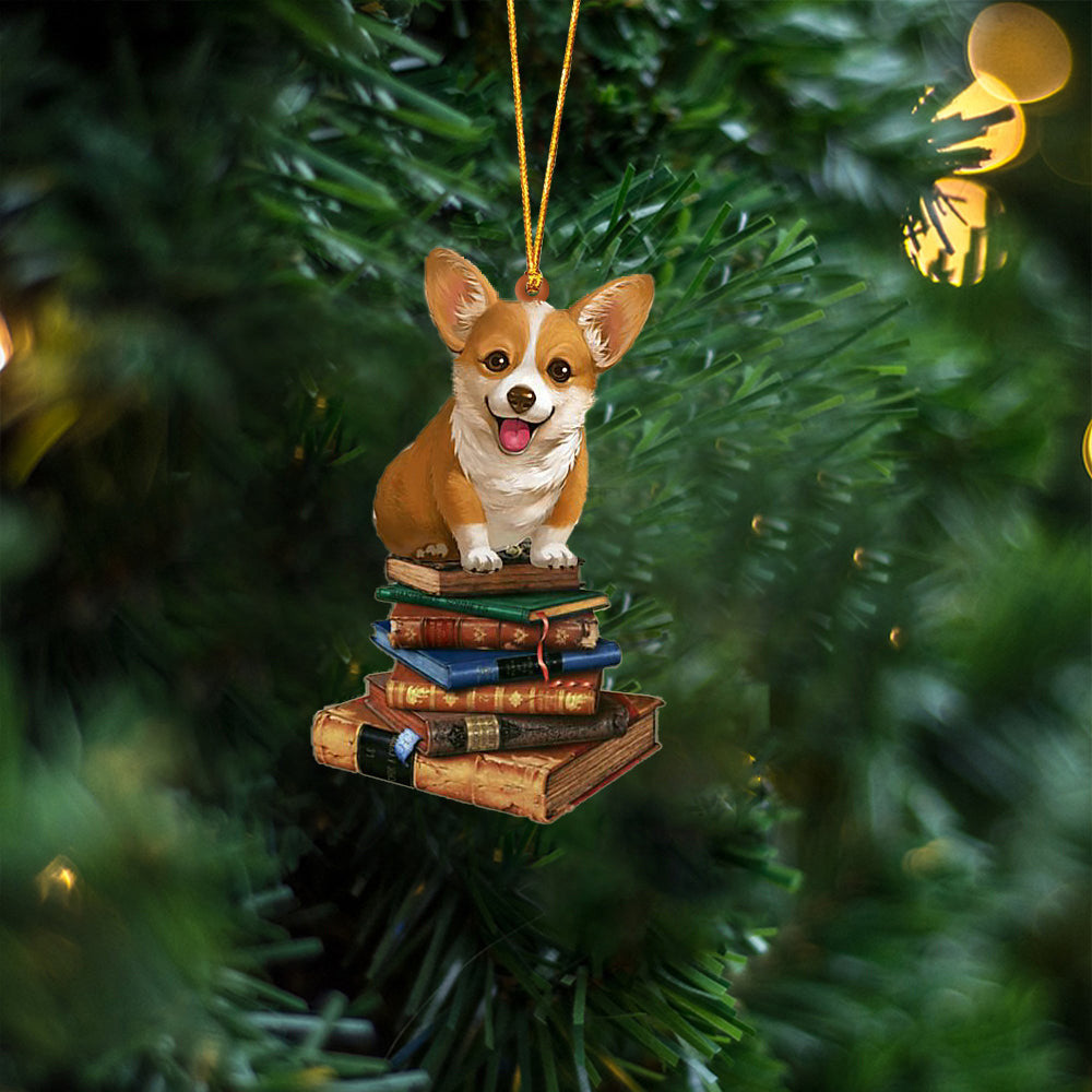 Corgi-Sit On The Book Two Sides Christmas Plastic Hanging Ornament, Christmas Gift, Christmas Decoration