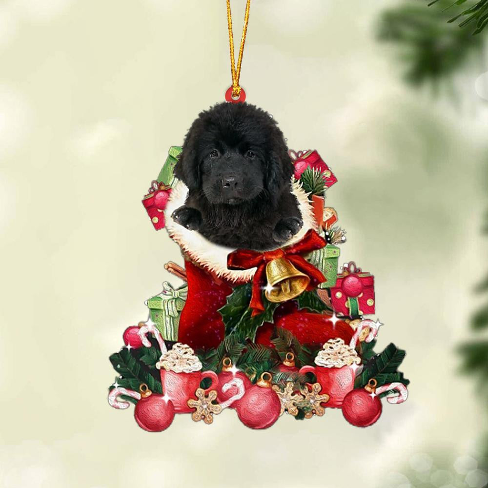 BLACK Newfoundland-Red Boot Hanging Christmas Plastic Hanging Ornament, Christmas Ornament Gift, Christmas Gift, Christmas Decoration