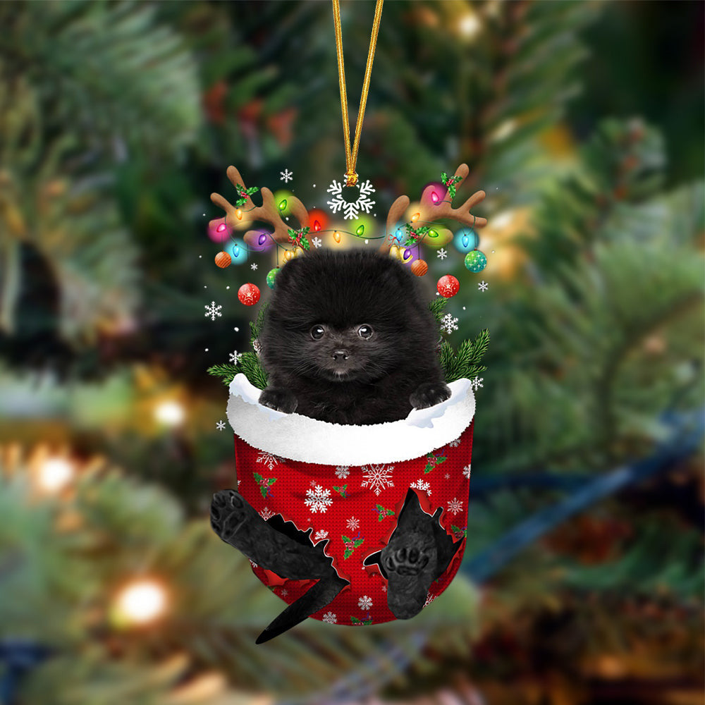 BLACK Pomeranian-In Christmas Pocket Two Sides Christmas Plastic Hanging Ornament, Christmas Ornament Gift, Christmas Gift, Christmas Decoration