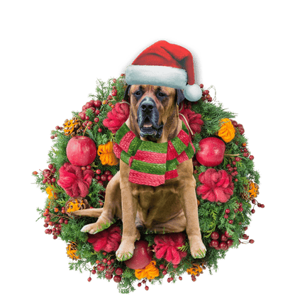 Bull Mastiff Christmas Christmas Plastic Hanging Ornament, Happy Christmas Ornament, Christmas Gift, Christmas Decoration