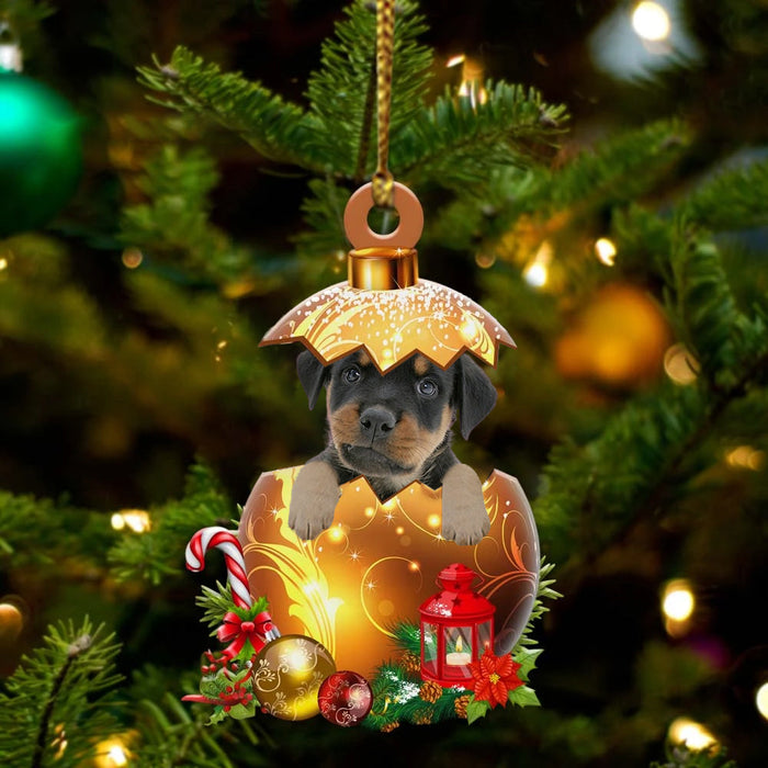 Rottweiler In Golden Egg Christmas Ornament, Pet Love Gift, Christmas Ornament, Christmas Gift