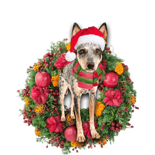 Blue Heeler Christmas Christmas Plastic Hanging Ornament, Christmas Ornament Gift, Christmas Gift, Christmas Decoration