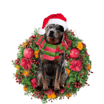 Cattle Dog Christmas Christmas Plastic Hanging Ornament, Happy Christmas Ornament, Christmas Gift, Christmas Decoration