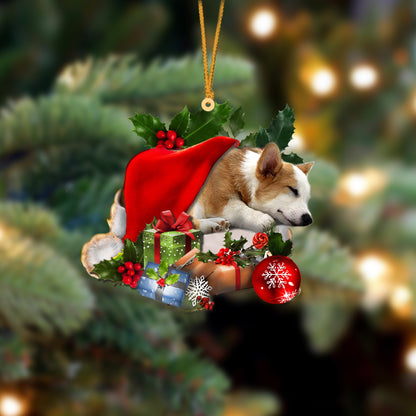 Corgi-Sleeping In Hat Two Sides Christmas Plastic Hanging Ornament, Christmas Gift, Christmas Decoration