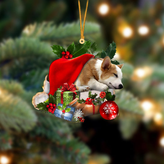 Corgi-Sleeping In Hat Two Sides Christmas Plastic Hanging Ornament, Christmas Gift, Christmas Decoration