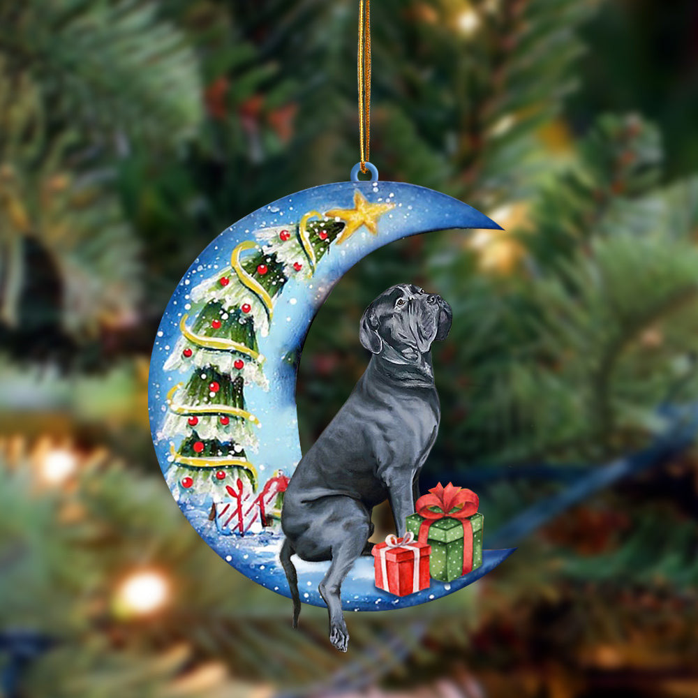 Cane Corso Sit On The Blue Moon-Two Sided Christmas Plastic Hanging Ornament, Happy Christmas Ornament, Christmas Gift, Christmas Decoration