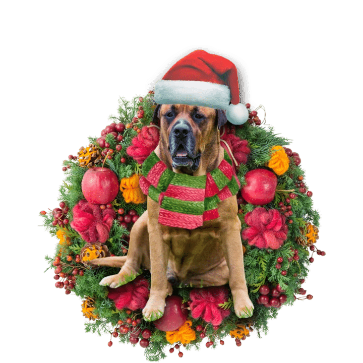 Bull Mastiff Christmas Ornament, Happy Christmas Ornament, Christmas Gift, Christmas Decoration
