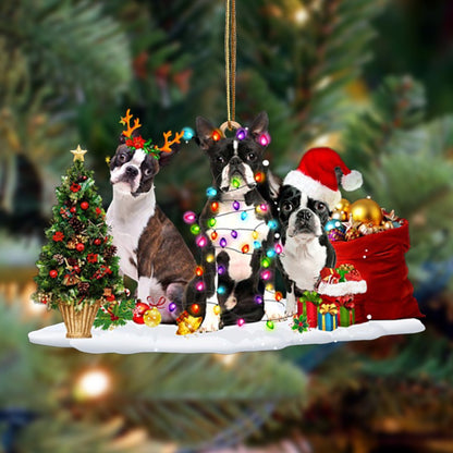 Boston Terrier-Christmas Dog Friends Hanging Christmas Plastic Hanging Ornament, Christmas Ornament Gift, Christmas Gift, Christmas Decoration