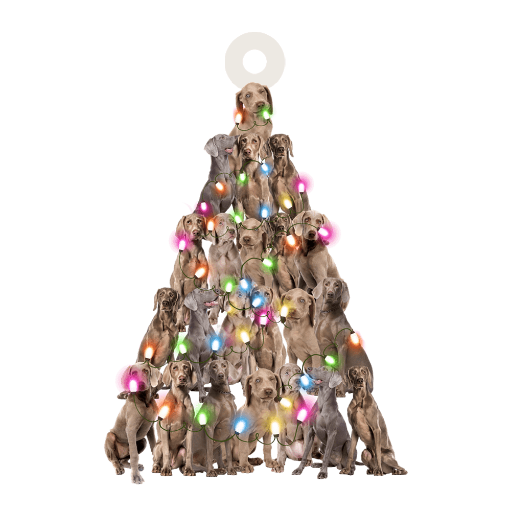 Weimaraner Lovely Tree Gift For Weimaraner Lover Gift For Dog Lover Ornament,Christmas Gift,Christmas Decoration
