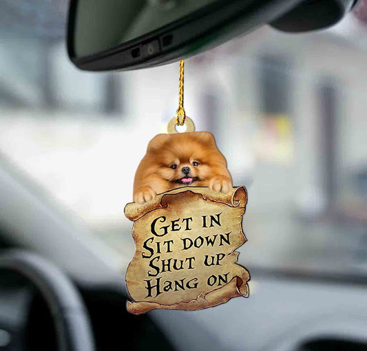 Pomeranian get in pomeranian lover two sided ornament, Christmas Decoration