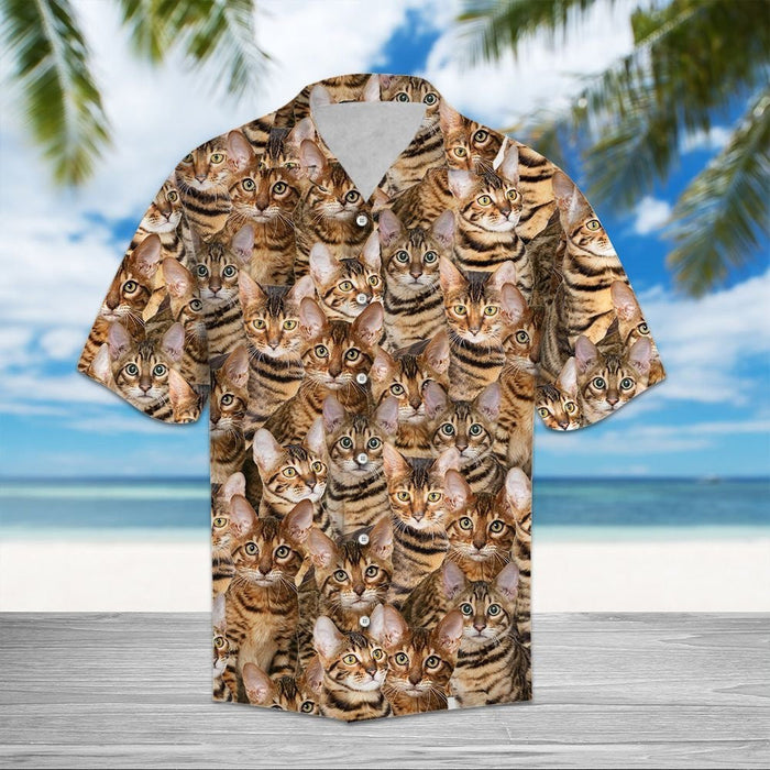 Toyger Awesome Cat Group Gift For Cat Lovers Hawaiian Shirt, Hawaiian Shirt Gift, Christmas Gift