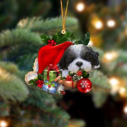 Black White Shih Tzu-Sleeping In Hat Two Sides Christmas Plastic Hanging Ornament HY209082, Christmas Ornament Gift, Christmas Gift, Christmas Decoration