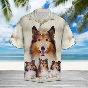 Adult Collie Great Dog Smiley Design Themed Hawaiian Shirt, Hawaiian Shirt Gift, Christmas Gift