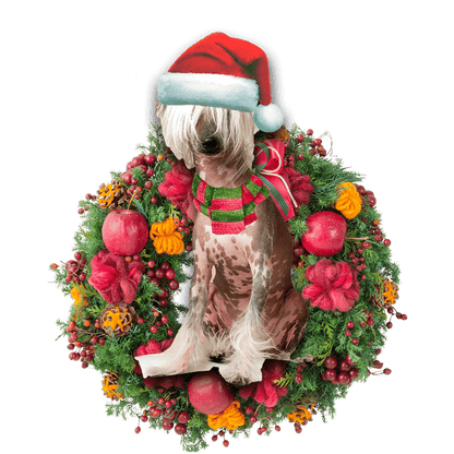 Chinese Crested Christmas Christmas Plastic Hanging Ornament, Christmas Gift, Christmas Decoration