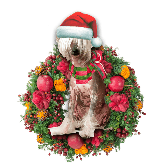 Chinese Crested Christmas Christmas Plastic Hanging Ornament, Christmas Gift, Christmas Decoration