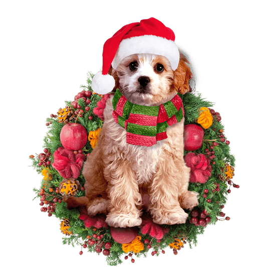 Cavoodle Christmas Christmas Plastic Hanging Ornament, Happy Christmas Ornament, Christmas Gift, Christmas Decoration
