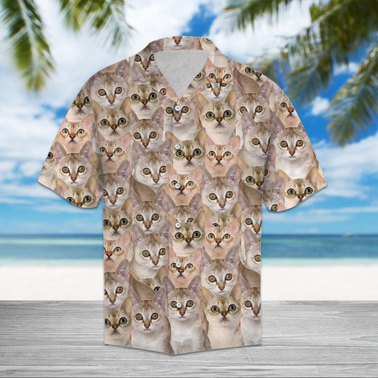 Awesome Singapura Cat Face Gift For Cat Lovers Hawaiian Shirt, Hawaiian Shirt Gift, Christmas Gift