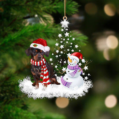 Chiweenie-Star Tree Hanging Christmas Plastic Hanging Ornament, Christmas Gift, Christmas Decoration