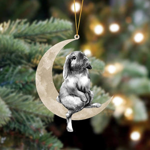 Rabbit Sits On The Moon Hanging Flat Acrylic Ornament, Gift For Dad,Christmas Decoration