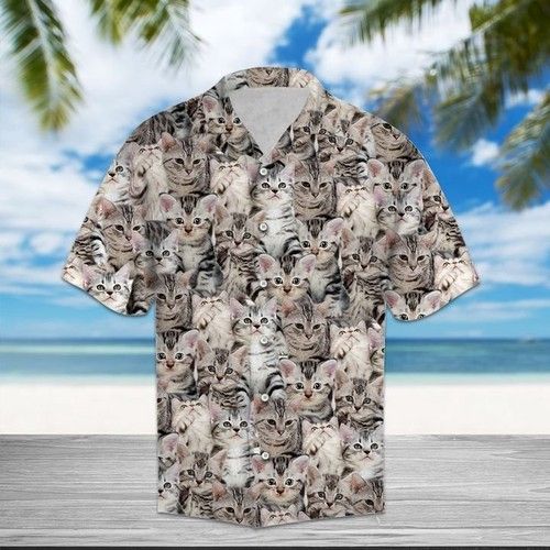 American Shorthair Hawaiian Shirt Summer, Hawaiian Shirt Gift, Christmas Gift