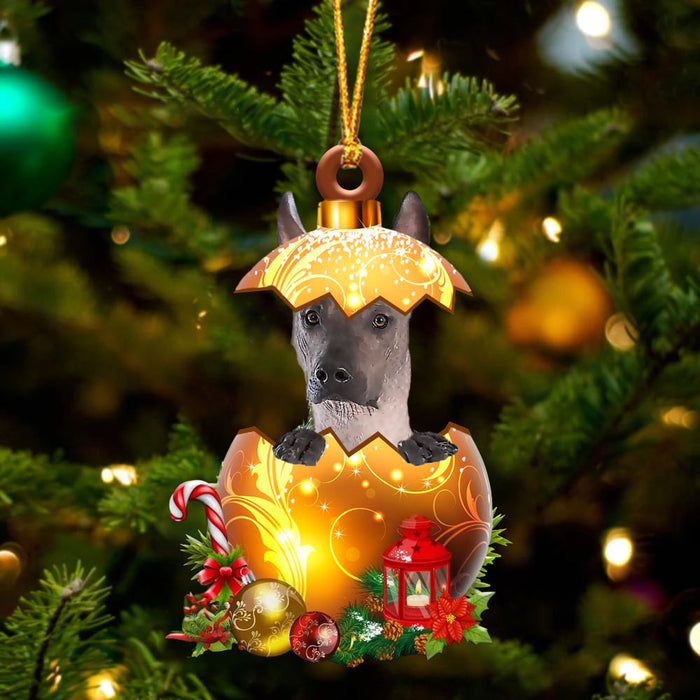 Xoloitzcuintli In Golden Egg Christmas Ornament, Pet Love Gift, Christmas Ornament, Christmas Gift