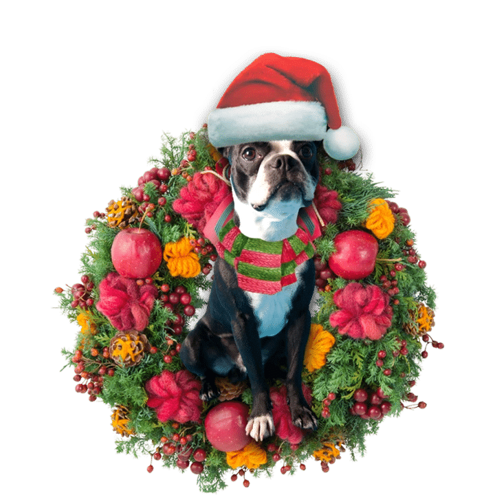 Boston Terrier Christmas Ornament, Christmas Ornament Gift, Christmas Gift, Christmas Decoration