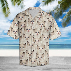 Awesome Ragdoll Cat Gift For Summer Vacation Hawaiian Shirt, Hawaiian Shirt Gift, Christmas Gift