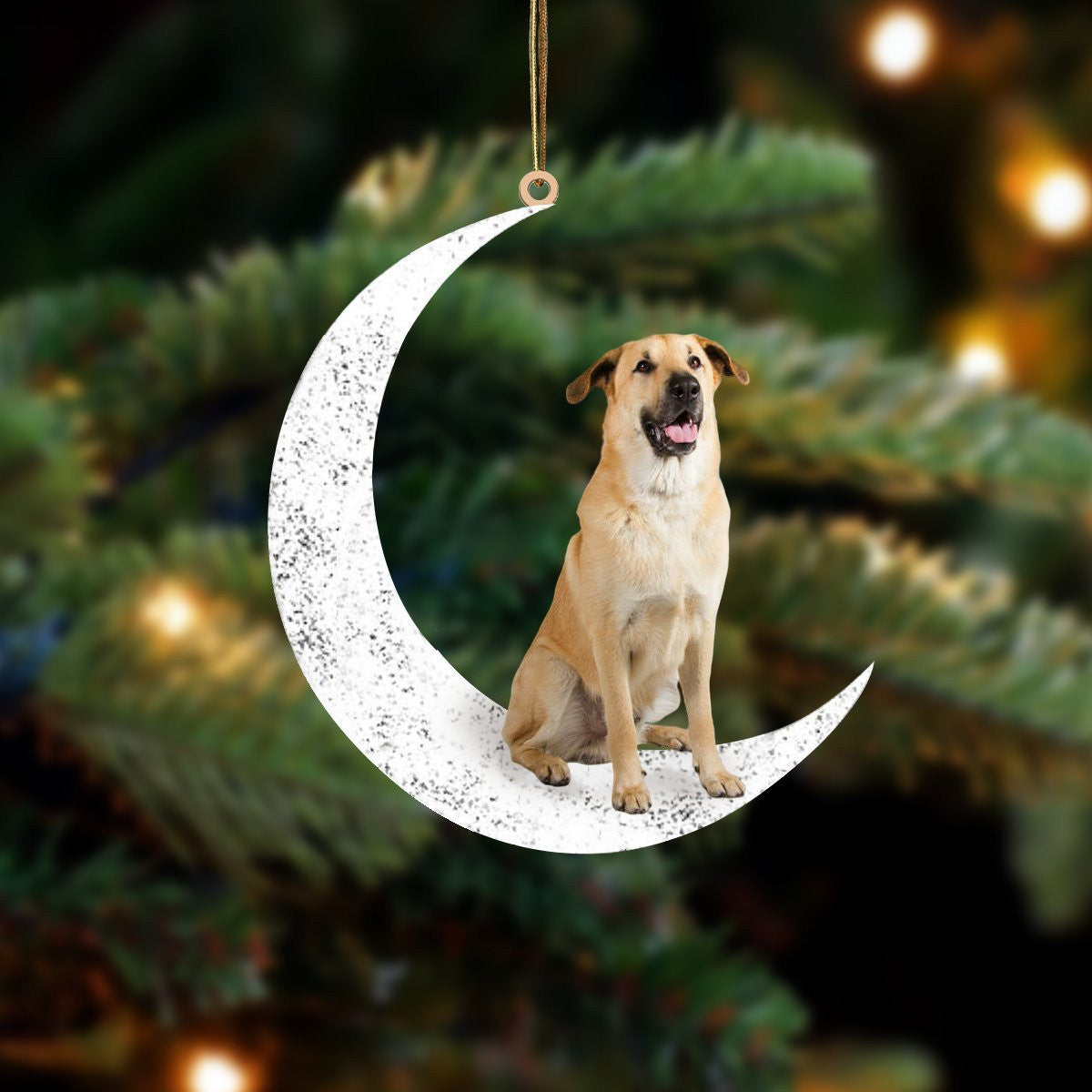 Chinook-Sit On The Moon-Two Sided Christmas Plastic Hanging Ornament, Christmas Gift, Christmas Decoration