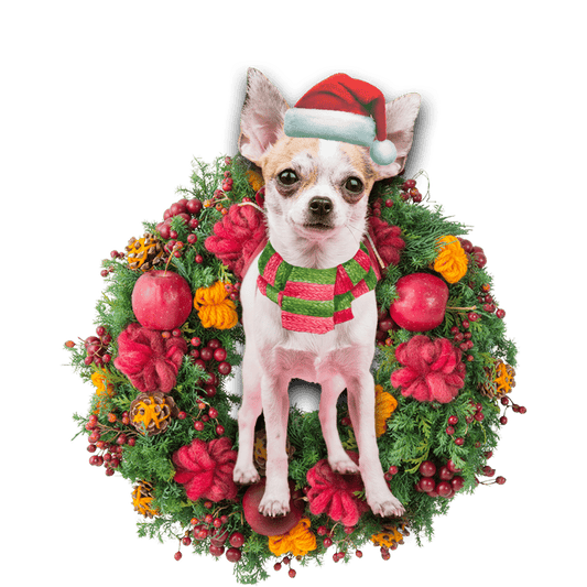 Chihuahua Christmas Christmas Plastic Hanging Ornament, Happy Christmas Ornament, Christmas Gift, Christmas Decoration
