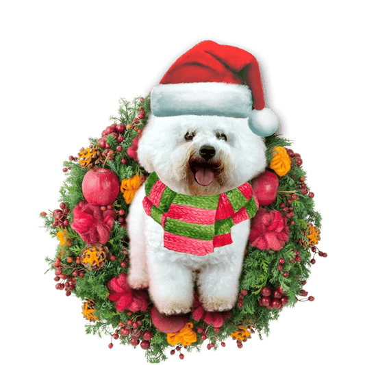 Bichon Frise Christmas Ornament, Christmas Ornament Gift, Christmas Gift, Christmas Decoration