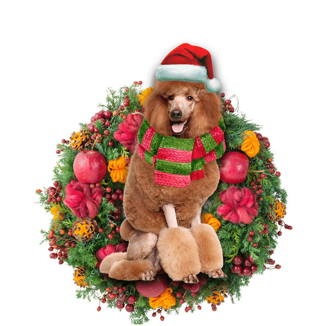 Brown Poodle Christmas Christmas Plastic Hanging Ornament, Happy Christmas Ornament, Christmas Gift, Christmas Decoration