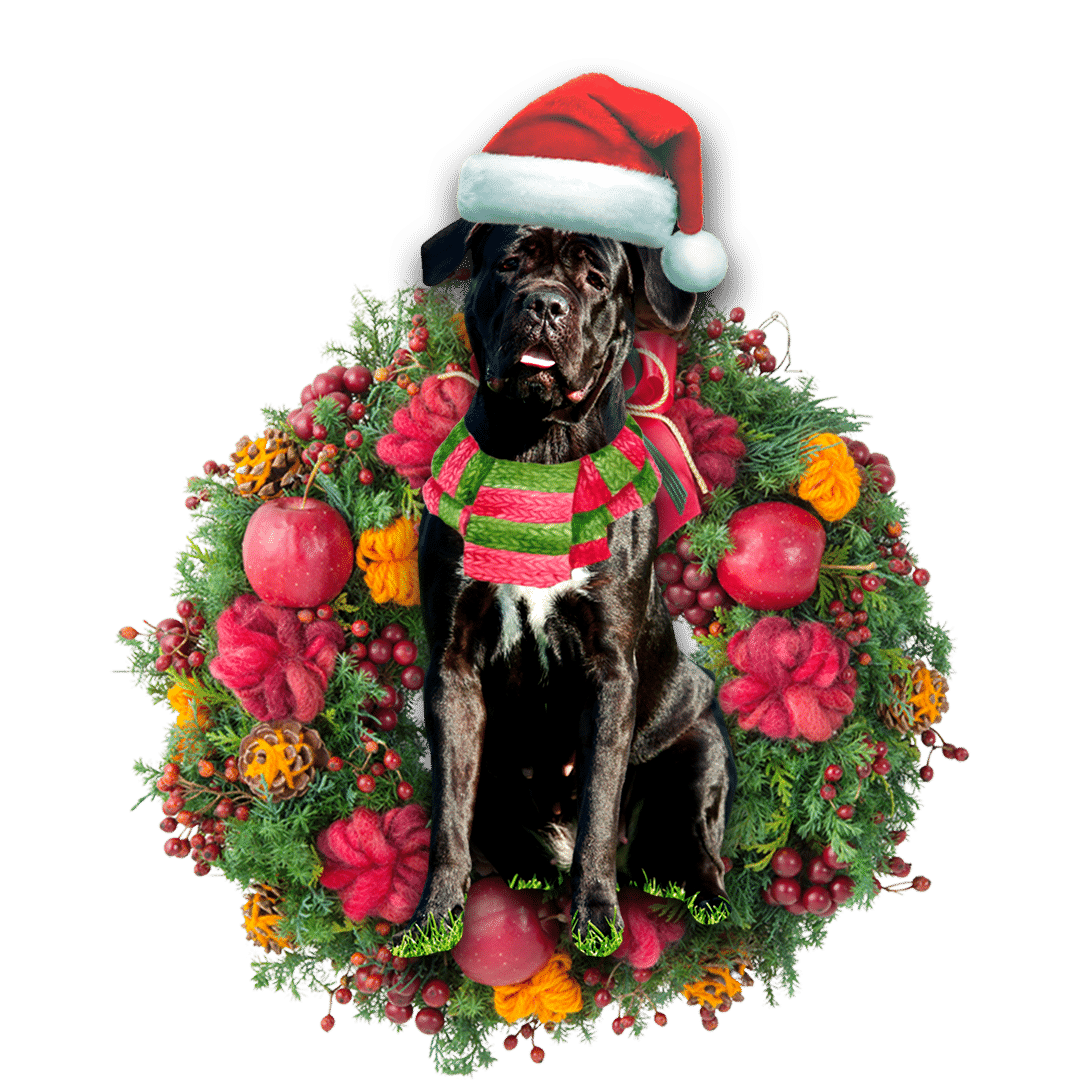 Cane Corso Christmas Christmas Plastic Hanging Ornament, Happy Christmas Ornament, Christmas Gift, Christmas Decoration