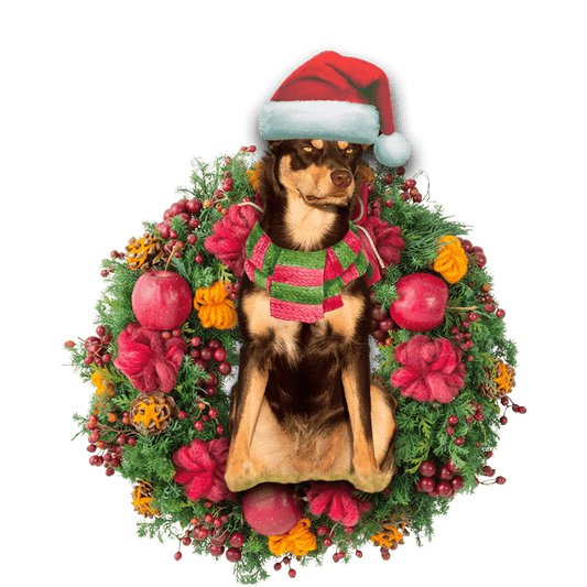 Australian Kelpie Christmas Christmas Plastic Hanging Ornament, Christmas Ornament Gift, Christmas Gift, Christmas Decoration