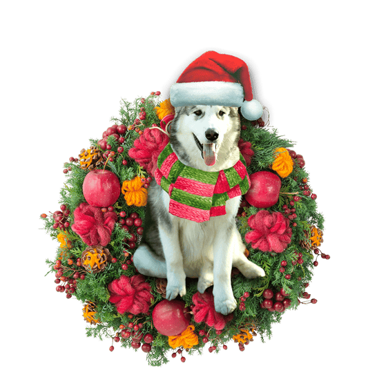 Alaskan Malamute Christmas Christmas Plastic Hanging Ornament, Christmas Ornament Gift, Christmas Gift, Christmas Decoration