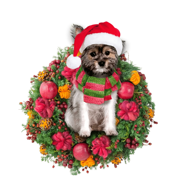 Chorkie Christmas Ornament, Happy Christmas Ornament, Christmas Gift, Christmas Decoration