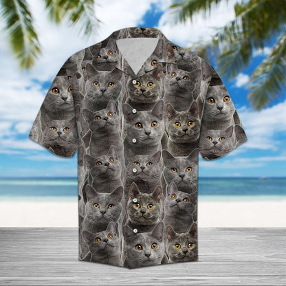 Cute Chartreux Awesome Meme Face Of Cat Pattern Hawaiian Shirt, Hawaiian Shirt Gift, Christmas Gift