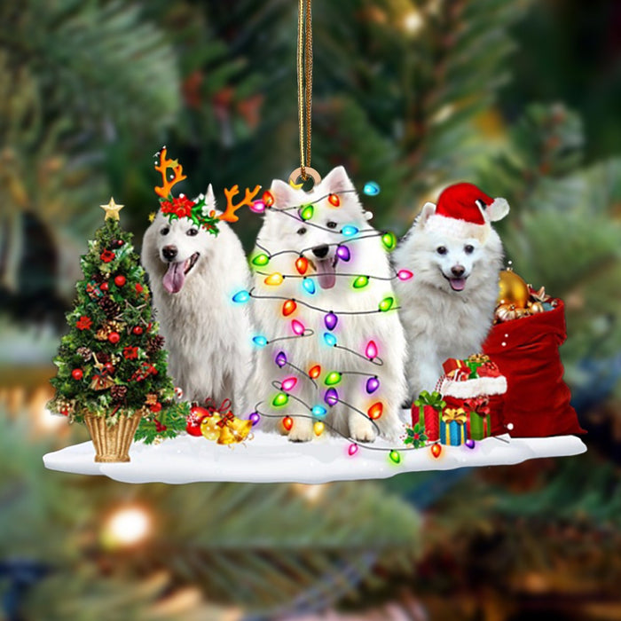 American Eskimo Dog-Christmas Dog Friends Hanging Christmas Plastic Hanging Ornament, Christmas Ornament Gift, Christmas Gift, Christmas Decoration