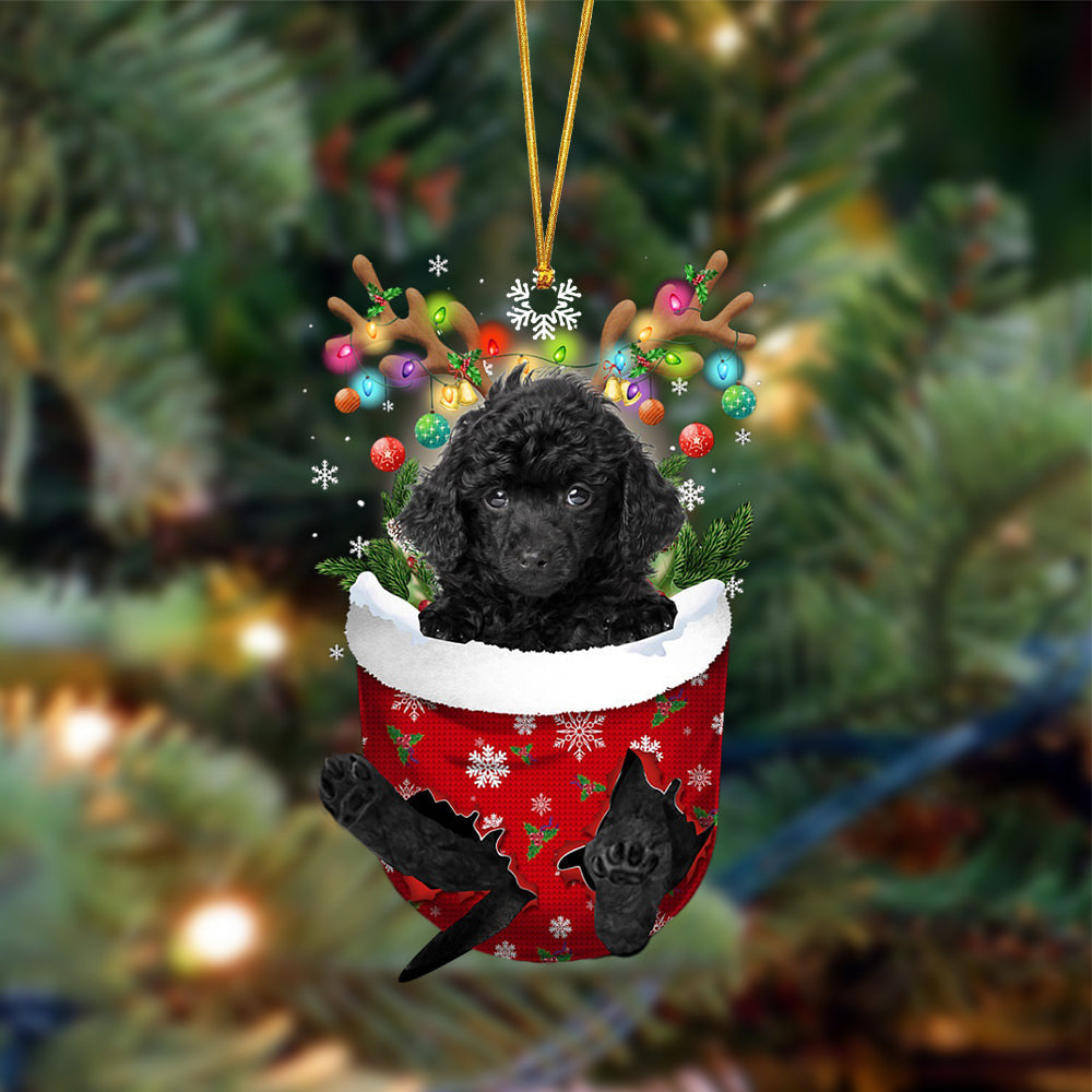 BLACK Toy Poodle-In Christmas Pocket Two Sides Christmas Plastic Hanging Ornament, Christmas Ornament Gift, Christmas Gift, Christmas Decoration