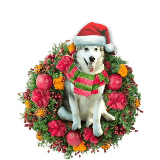 Alaskan Malamute Christmas Ornament, Christmas Ornament Gift, Christmas Gift, Christmas Decoration