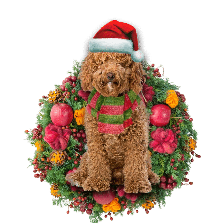 Brown Labradoodle Christmas Ornament, Happy Christmas Ornament, Christmas Gift, Christmas Decoration