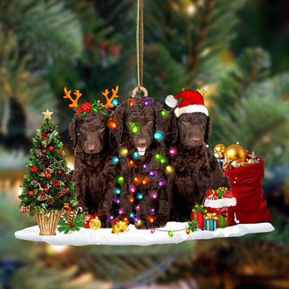 Curly Coated Retriever-Christmas Dog Friends Hanging Christmas Plastic Hanging Ornament, Christmas Shape Ornament, Happy Christmas Ornament, Christmas Gift, Christmas Decoration