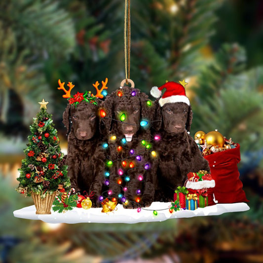 Curly Coated Retriever-Christmas Dog Friends Hanging Christmas Plastic Hanging Ornament, Christmas Shape Ornament, Happy Christmas Ornament, Christmas Gift, Christmas Decoration