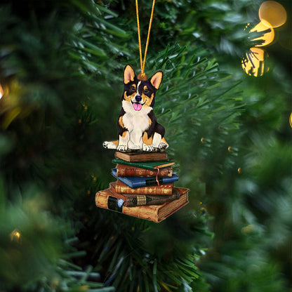 Corgi-Sit On The Book Two Sides Christmas Plastic Hanging Ornament, Christmas Ornament, Christmas Gift, Christmas Decoration
