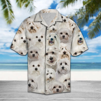 Cute Coton De Tuléar My Best Friend Hawaiian Shirt, Hawaiian Shirt Gift, Christmas Gift