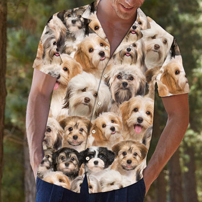Into Havanese Love Dog Breed Design Hawaiian Shirt, Hawaiian For Gift