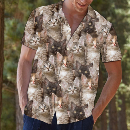 Awesome Laperm Cat Face Gift For Cat Lovers Hawaiian Shirt, Hawaiian Shirt Gift, Christmas Gift
